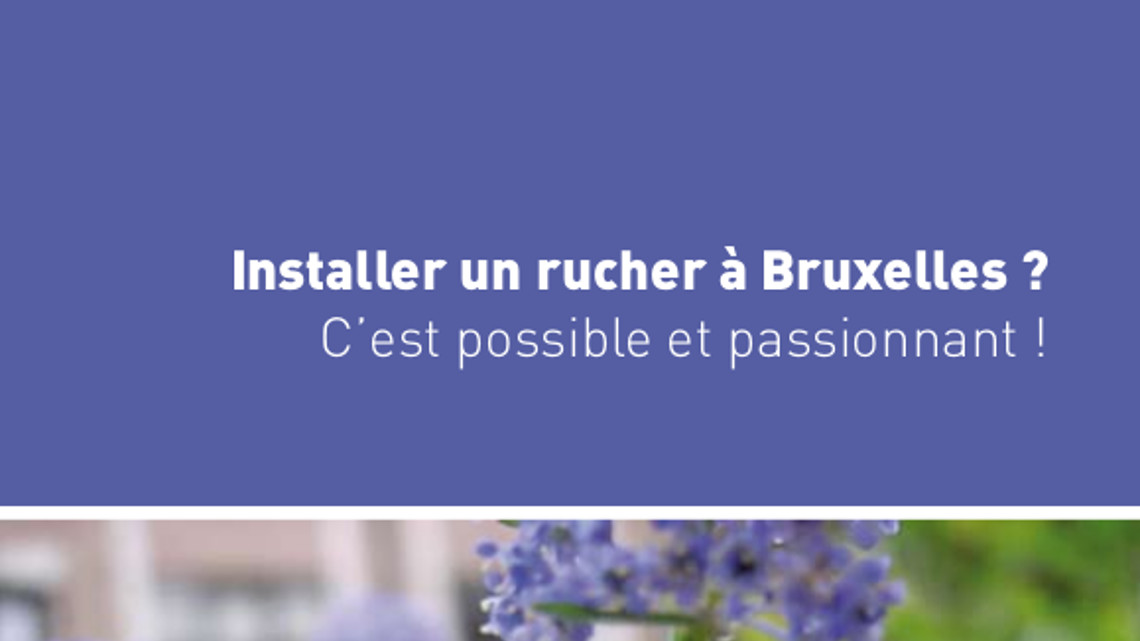 Installer un rucher à Bruxelles 
