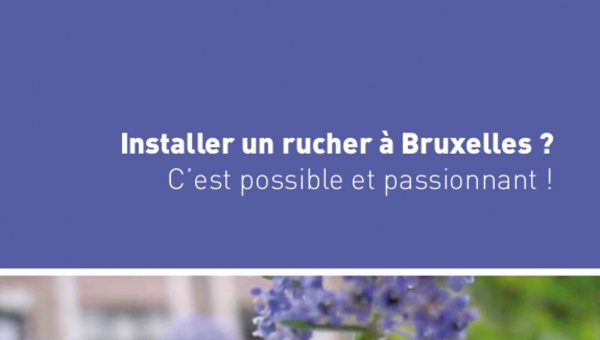 Installer un rucher à Bruxelles 
